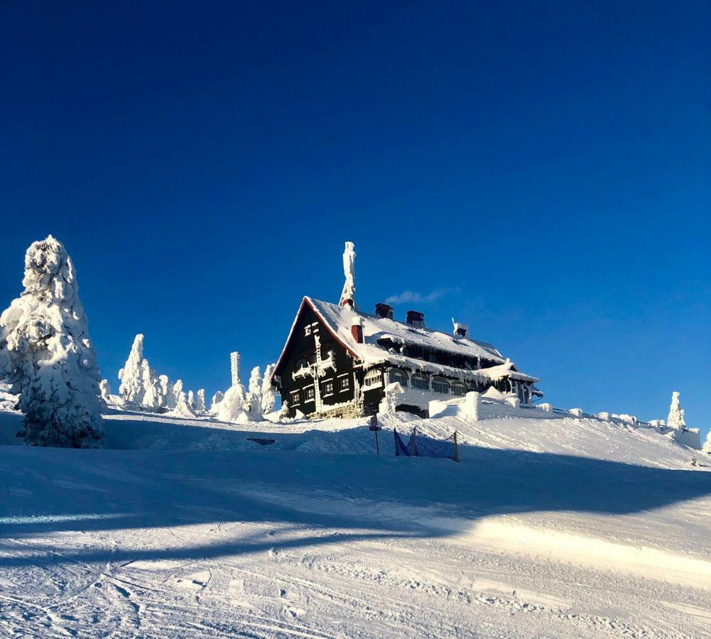 Ski Sun Sea - Rodzinny Apartament Pod Gondola Świeradów-Zdrój Exteriör bild